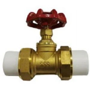 PPR Brass Globe Valve